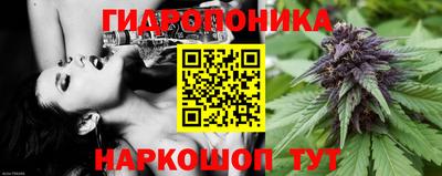 шишки Балаково
