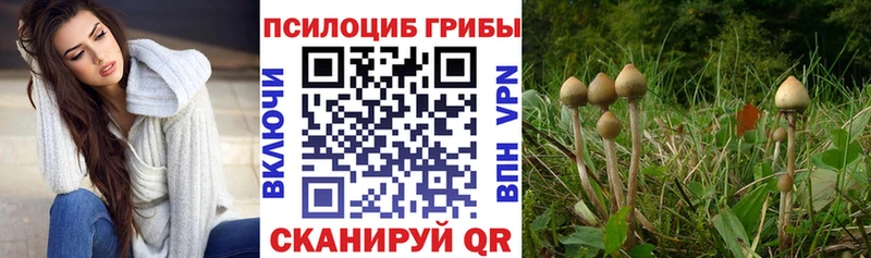 Галлюциногенные грибы ЛСД Бийск