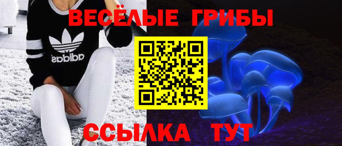 Бийск  Псилоцибиновые грибы MAGIC MUSHROOMS  Вход с VPN  Псилоцибиновые грибы Magic Shrooms 